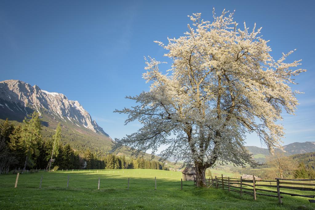 Mayer - Wirtshaus Und Dorfhotel Sankt Martin am Grimming ภายนอก รูปภาพ